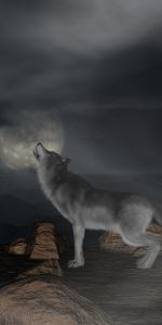 Howl,Wolf,Full Moon,Moon,3D