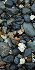 Humid,Marine,Stones,Wet,Nature,Sea