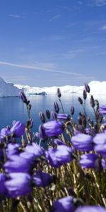 Icebergs,Paisaje