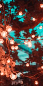 Illumination,Garland,Light Bulbs,Blur,Smooth,Lighting,Miscellanea,Miscellaneous