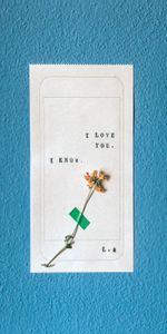 Inscription,Flower,Love,Minimalism