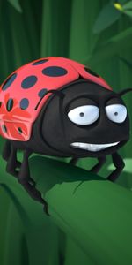 Insects,Ladybugs,Funny