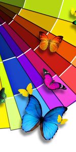 Insects,Rainbow,Butterflies