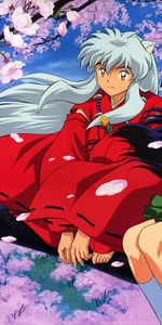 Inuyasha,Anime,Dessin Animé