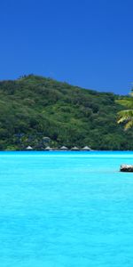 Île,Palms,Nature,Tropiques