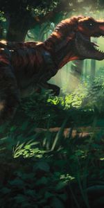 Jungle,Dinosaur,Tyrannosaurus,Tyrannosaur,Art,Forest