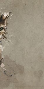 Minou,Chaton,Chat,Dessin,Photo,Art