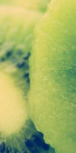 Kiwi,Fruit,Os,Section,Tranche,Macro,Le Fruit