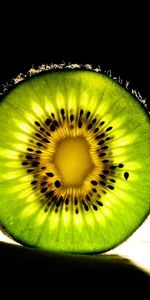 Kiwi,Shine,Middle,Light,Food