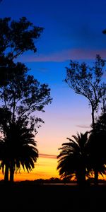 Lagoon,Sunset,Palms,Dark,Landscape