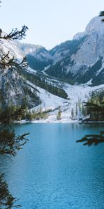 Lake,Branches,Nature,Mountains,Landscape,Italy