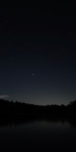 Lake,Branches,Silhouette,Night,Dark