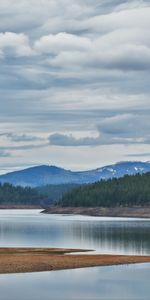 Lake,Coast,Forest,Hill,Nature