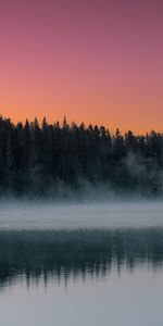 Lake,Dusk,Landscape,Nature,Trees,Twilight,Fog