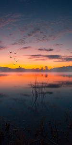 Lake,Dusk,Nature,Twilight,Fog,Sunset,Landscape