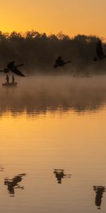 Brouillard,Silhouettes,Pêcheurs,Lac,Sombre,Oiseaux