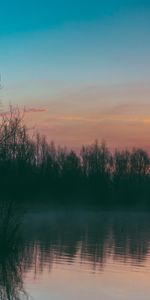 Lake,Fog,Nature,Sunset,Trees