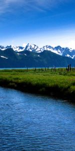 Naturaleza,Lago,Bosque,Perro,Islote,Quemado,Isla