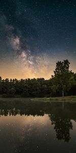 Lake,Forest,Holidays,Starry Sky,Stars,Nebula