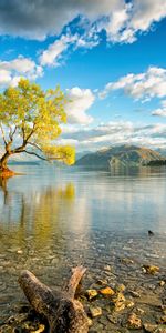 Lake,Island,Nature,Wanaka,New Zealand