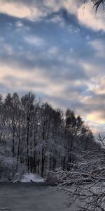 Lake,Nature,Snow,Forest,Winter