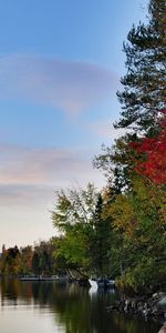 Nature,Forêt,Noyaux,Lac,Automne,Paysage