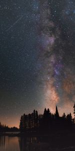 Naturaleza,Árboles,Noche,Lago,Estrellas,Cielo Estrellado,Vía Láctea