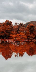 Lake,Reflection,Nature,Trees,Autumn