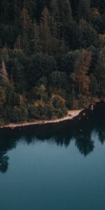 Lake,Reflection,Rattlesnake,United States,Usa,Water,Trees,Nature