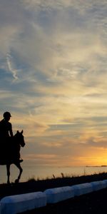 Nature,Bordures,Cavalier,Lac,Silhouette,Fille,Cheval