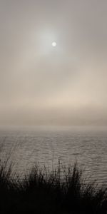 Lake,Ripple,Ripples,Nature,Grass,Moon