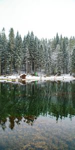 Lake,Seclusion,Privacy,Lodge,Nature,Snow,Forest,Small House,Landscape