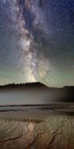 Lake,Starry Sky,Trees,Silhouette,Universe,Nebula