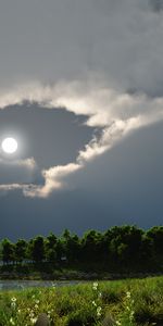 Lake,Trees,Night,Moon,Nature