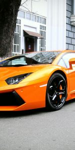 Ламборджини,Lp700 4,Aventador,Тачки (Cars),Ламборджини (Lamborghini)