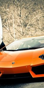 Lamborghini,Cars,Style,Doors,Auto,Door