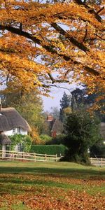 Paisaje,Casas,Otoño