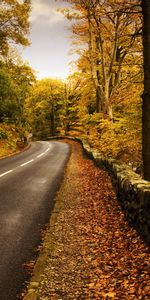 Routes,Paysage,Automne