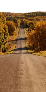 Routes,Paysage,Automne