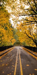 Landscape,Autumn,Roads