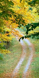 Routes,Automne,Paysage