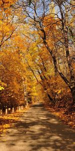 Landscape,Autumn,Roads