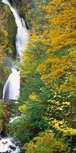 Árboles,Cascadas,Otoño,Paisaje