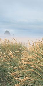 Paysage,Plage