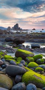 Landscape,Beach