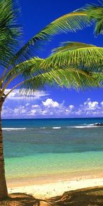 Landscape,Beach