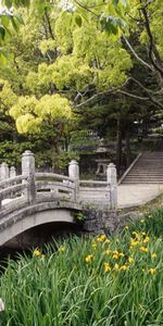 Landscape,Bridges