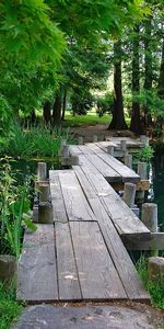 Landscape,Bridges