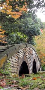 Landscape,Bridges,Autumn,Trees