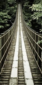 Arbres,Bridges,Paysage